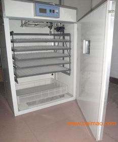 湖南土雞孵化設(shè)備 小型孵化機 永州土雞孵化設(shè)備,湖南土雞孵化設(shè)備 小型孵化機 永州土雞孵化設(shè)備生產(chǎn)廠家,湖南土雞孵化設(shè)備 小型孵化機 永州土雞孵化設(shè)備價格