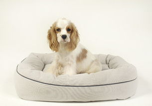 高清西班牙圖片下載 西班牙風景圖大全 千圖網