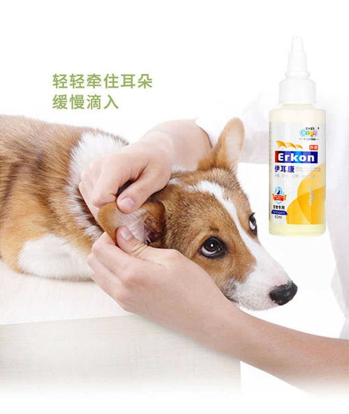 滴耳油伊耳康狗狗貓咪滴耳液除耳螨泰迪洗耳液貓狗洗耳水寵物用品
